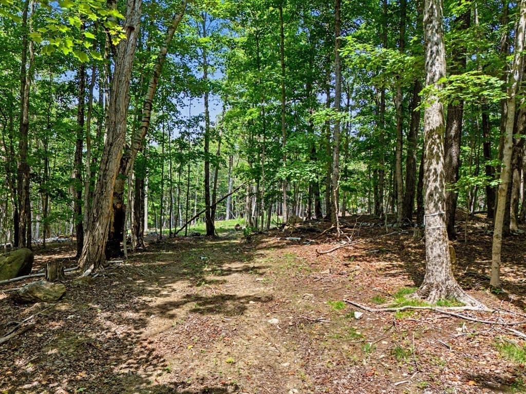 951 West Rd, Ashfield MA 01330 photo 6