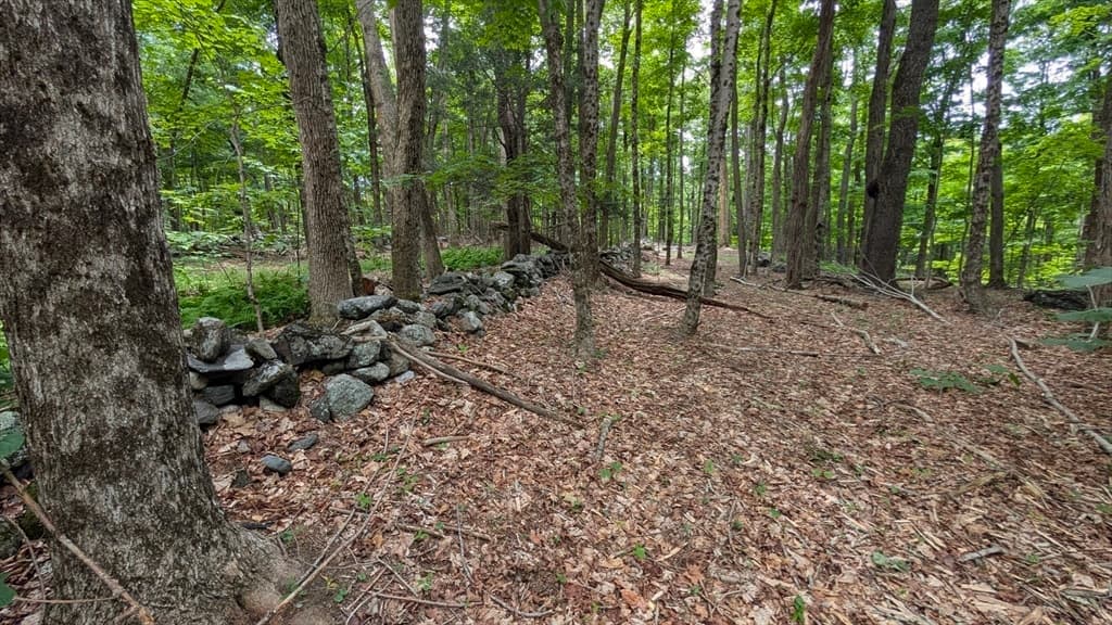 951 West Rd, Ashfield MA 01330 photo 17