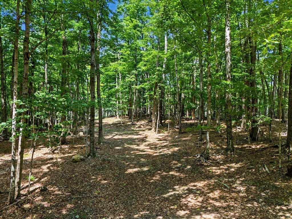 951 West Rd, Ashfield MA 01330 photo 3