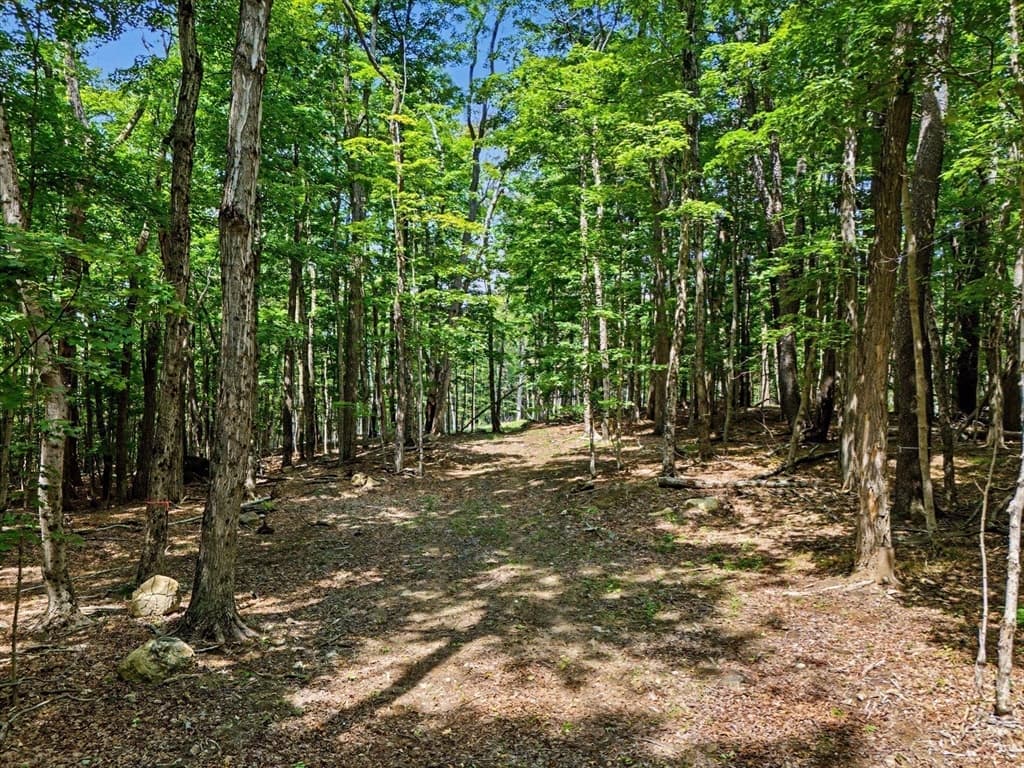 951 West Rd, Ashfield MA 01330 photo 5