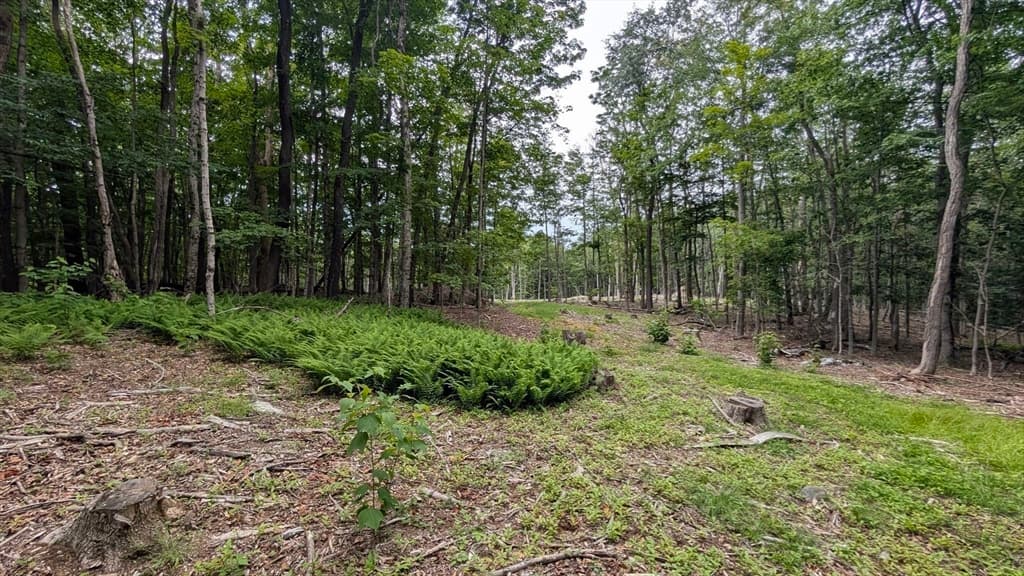951 West Rd, Ashfield MA 01330 photo 14