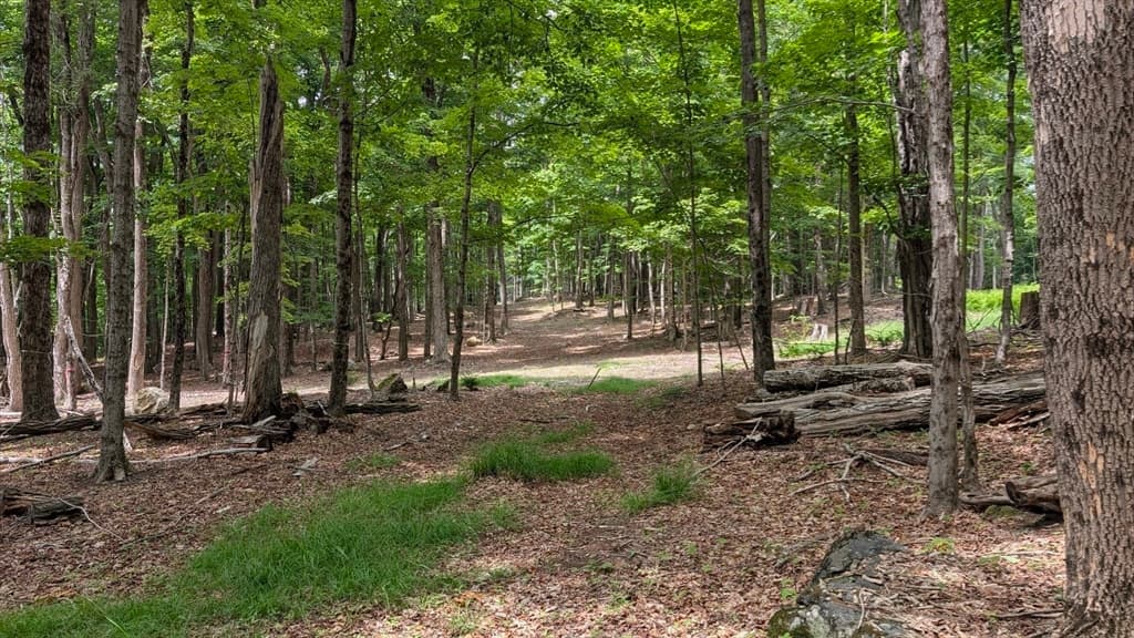 951 West Rd, Ashfield MA 01330 photo 11