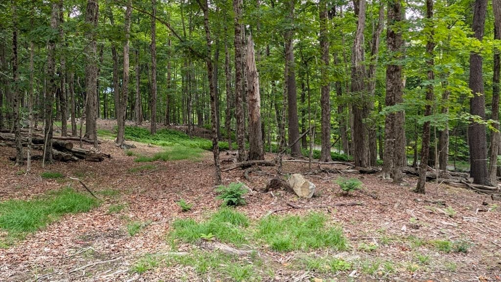 951 West Rd, Ashfield MA 01330 photo 19