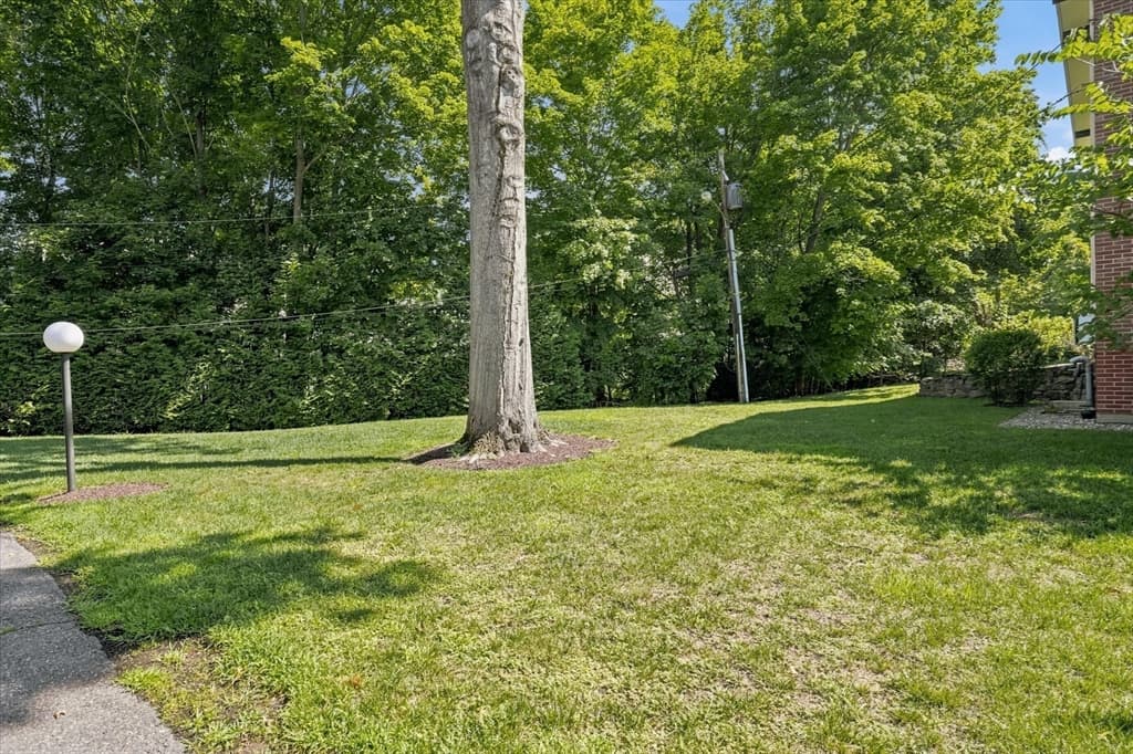 Condominium at 3 Longwood Dr # 103, Andover MA 01810, Andover, photo 23 of 29