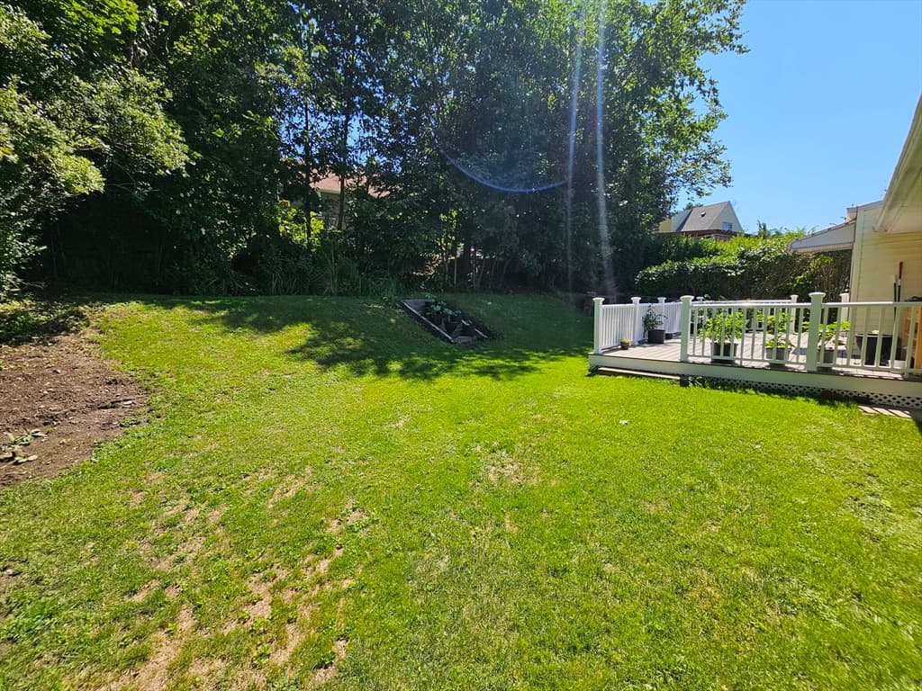 10 Marmion Ave, Worcester MA 01606 photo 37