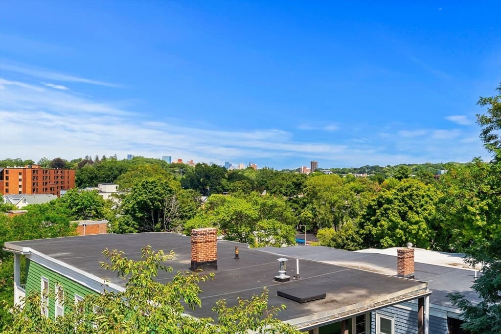 4-6 View South # 3C, Boston MA 02130 photo 17