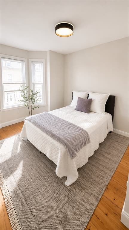 17-19 Clarence St, Boston MA 02119 photo 7