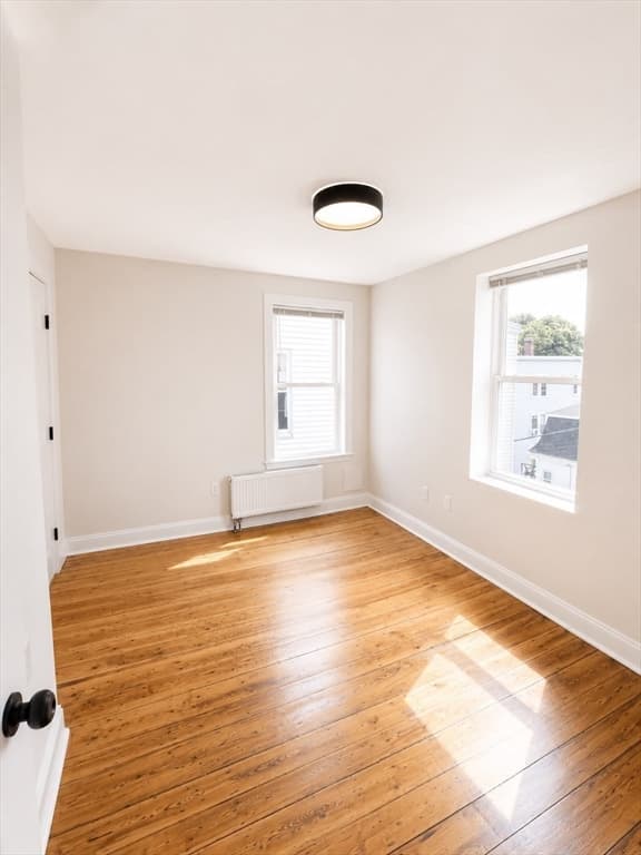 17-19 Clarence St, Boston MA 02119 photo 10