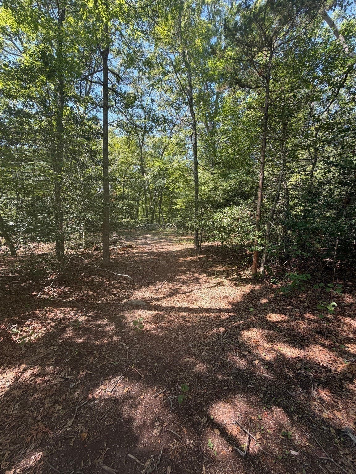 Lot 3 Thomas Cory Ln, Westport MA 02790