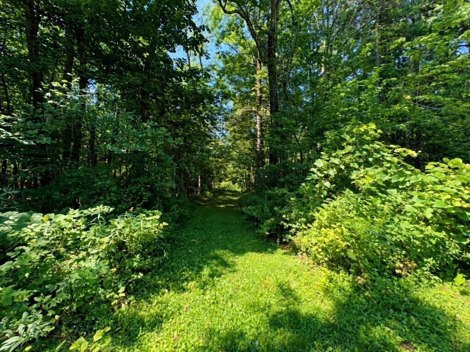 Single Family Residence at 177 Fred Snow Road, Becket MA 01223, Becket, photo 29 of 30