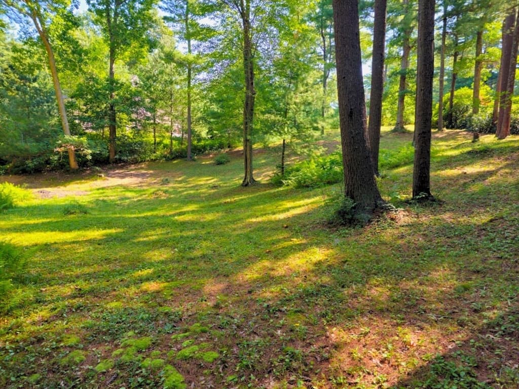 0 Nel Bonney Road, Plympton MA 02367 photo 3
