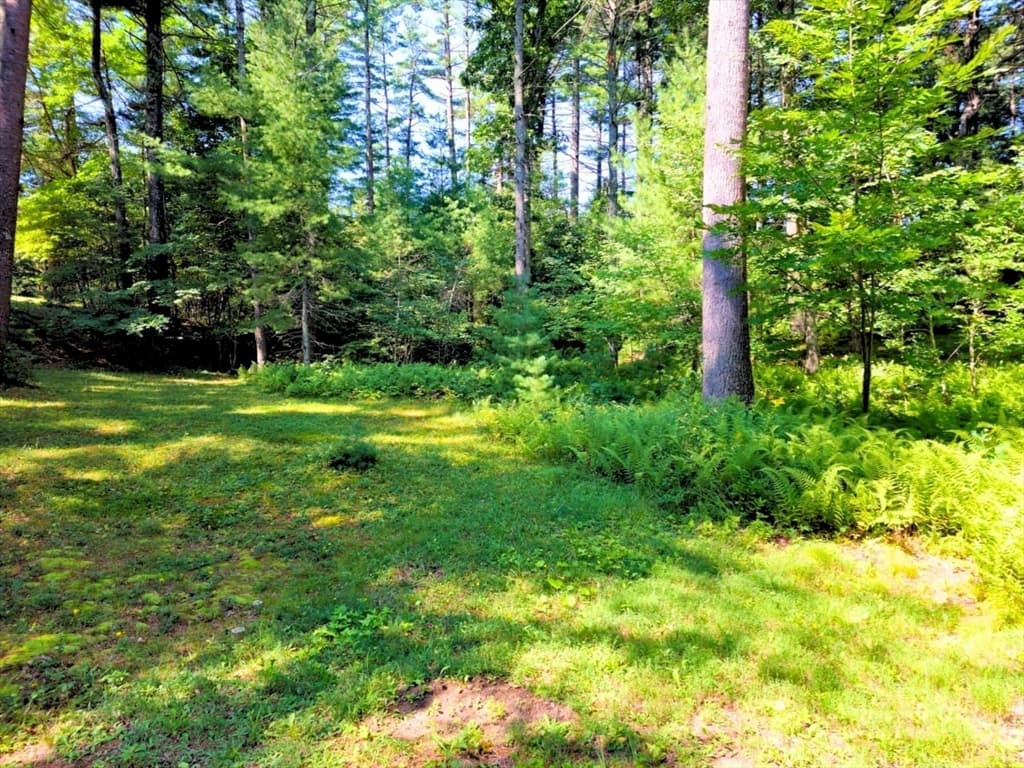0 Nel Bonney Road, Plympton MA 02367 photo 5