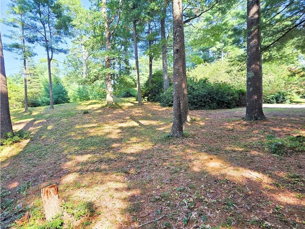 0 Nel Bonney Road, Plympton MA 02367 photo 9
