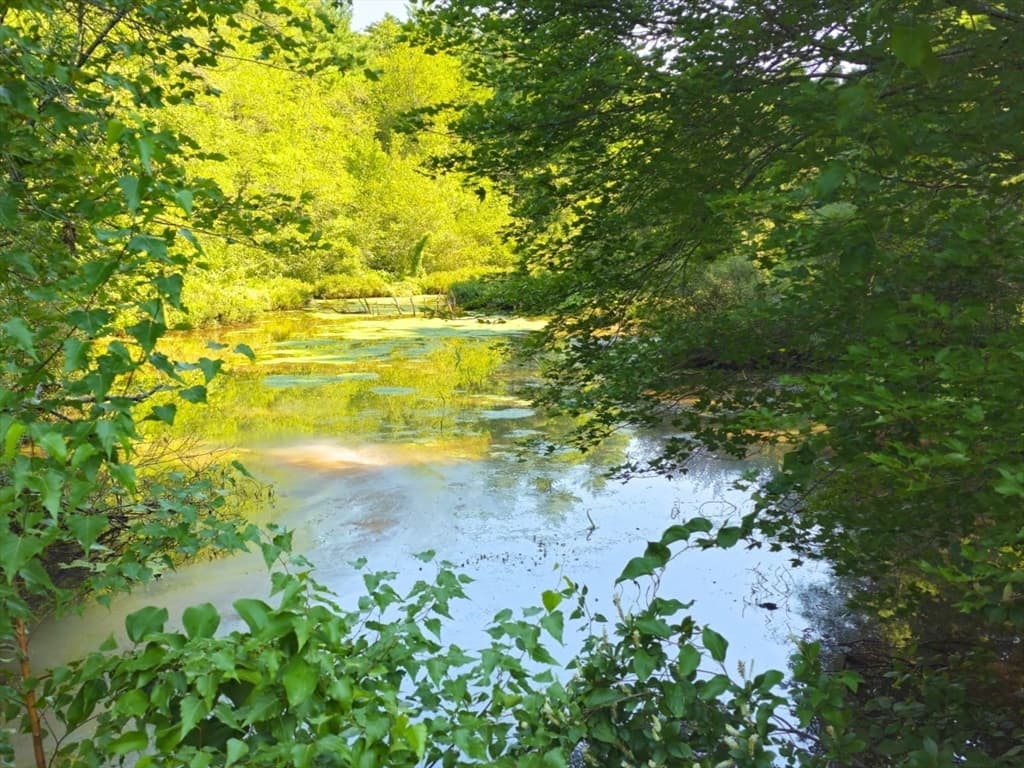 0 Nel Bonney Road, Plympton MA 02367 photo 18