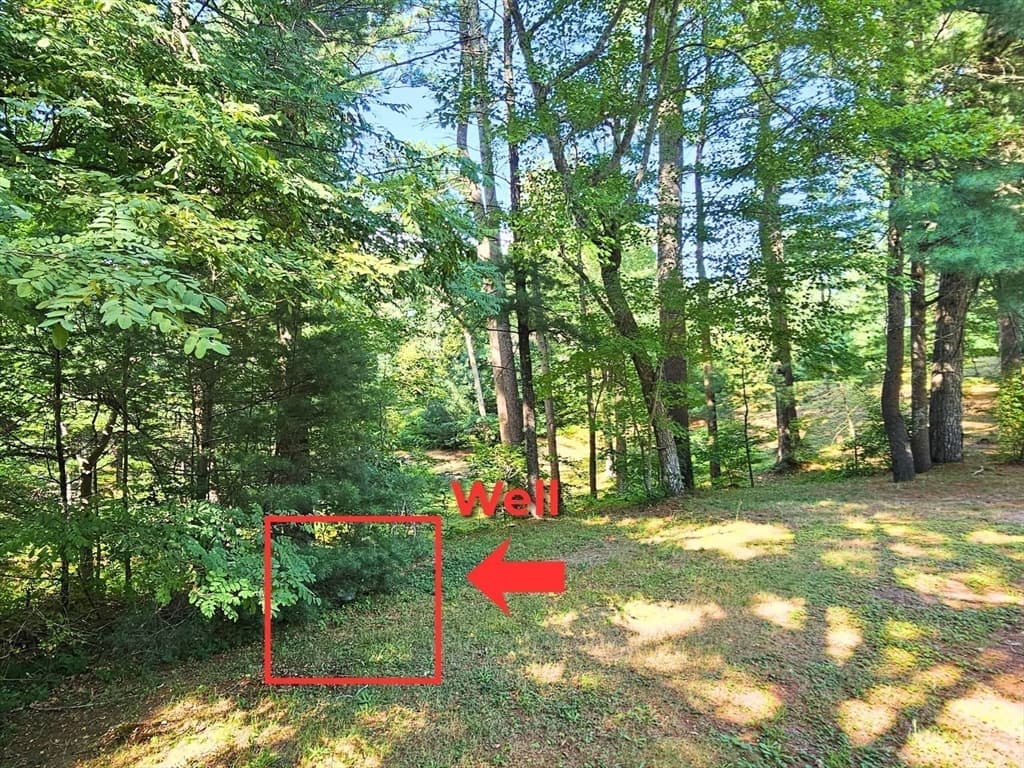 0 Nel Bonney Road, Plympton MA 02367 photo 11