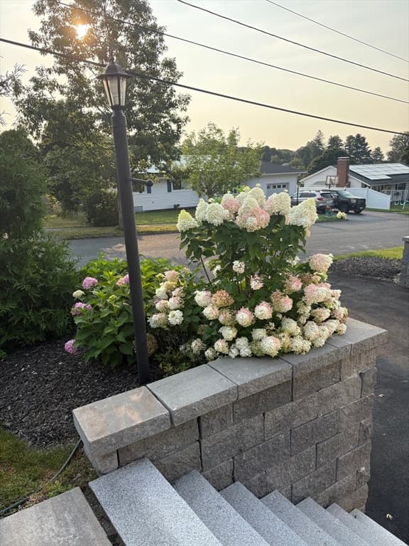 23 Mary Ann Dr, Worcester MA 01606 photo 6