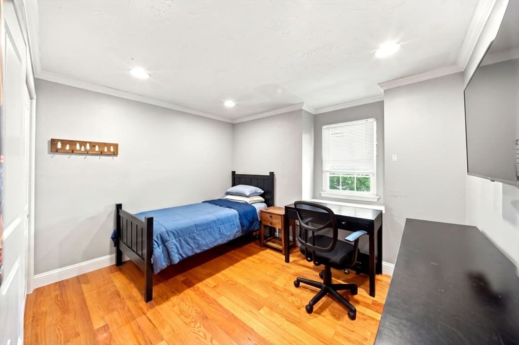 13 Meyer Ter # 13, Canton MA 02021 photo 22
