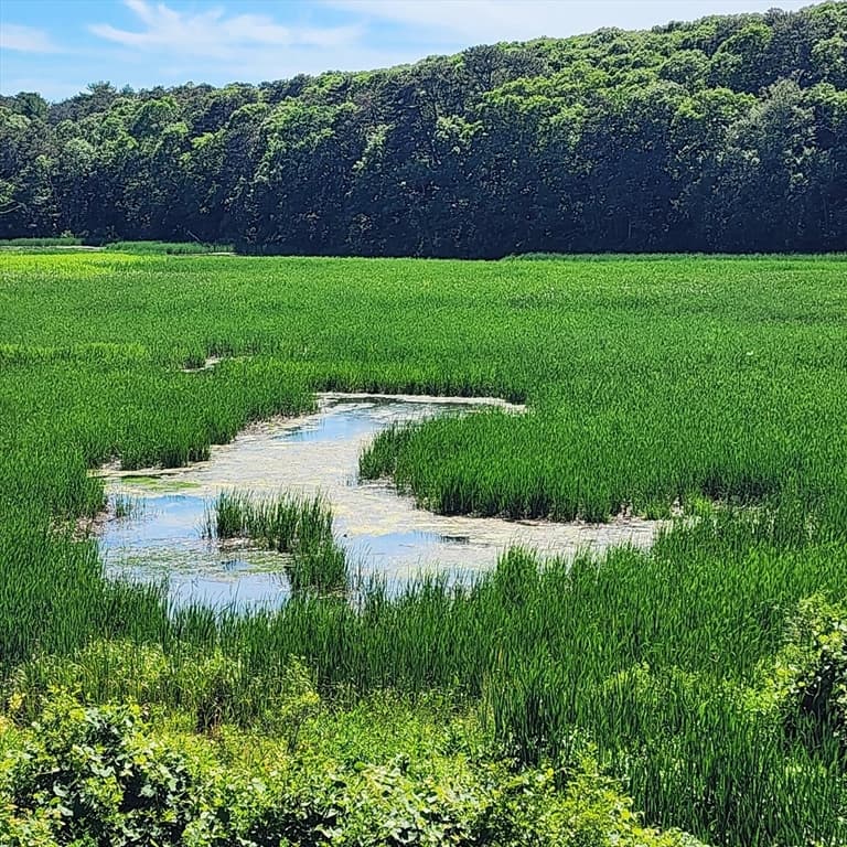 143 Abbey Gate Rd, Barnstable MA 02635