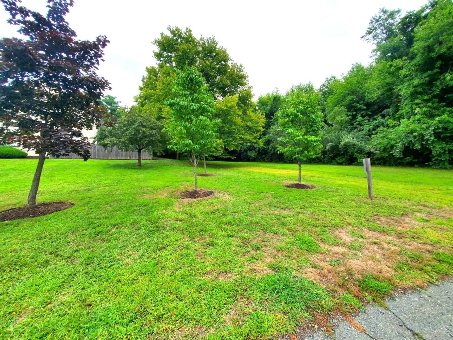 Condominium at 28 Douglas Drive # 28, East Bridgewater MA 02333, East Bridgewater, photo 2 of 16