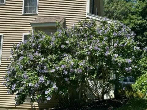 Condominium at 108 Mary Batchelder Rd # C, Hampton NH 03842, Hampton, photo 22 of 25