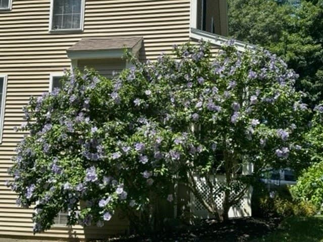 Condominium at 108 Mary Batchelder Rd # C, Hampton NH 03842, photo 31 of 34
