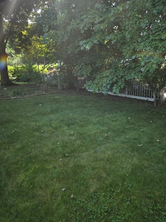 49 Webster Street, Medford MA 02155 photo 8