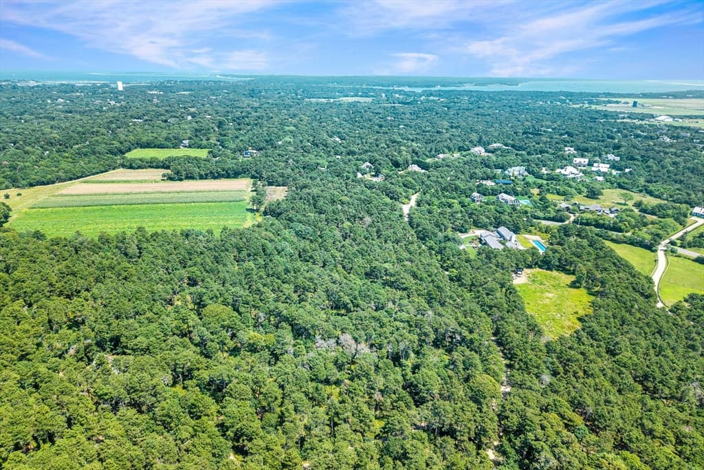 8 Turkeyland Cove Road, Edgartown MA 02539 photo 7