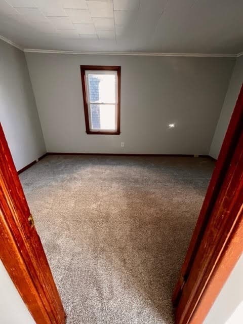 229 Tripp Street, Fall River MA 02724 photo 5