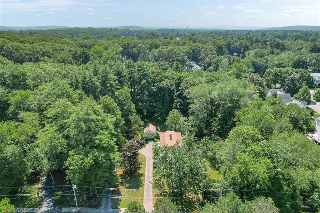 53 Elmwood Rd, Wellesley MA 02481 photo 11