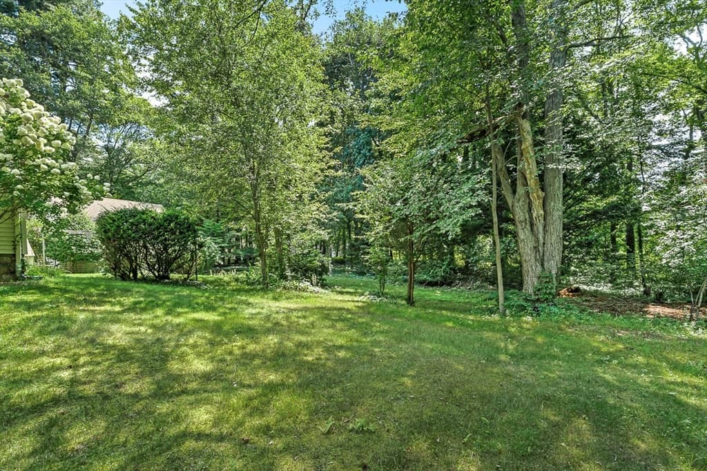 53 Elmwood Rd, Wellesley MA 02481 photo 3