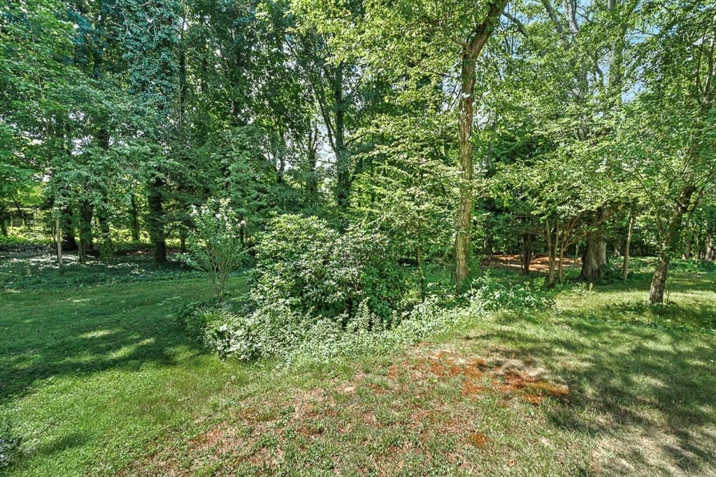 53 Elmwood Rd, Wellesley MA 02481 photo 5