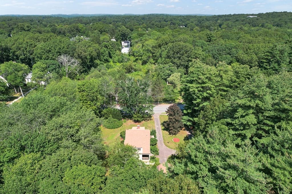 53 Elmwood Rd, Wellesley MA 02481 photo 11