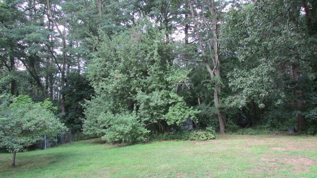 308 Salem Road, Billerica MA 01821 photo 13