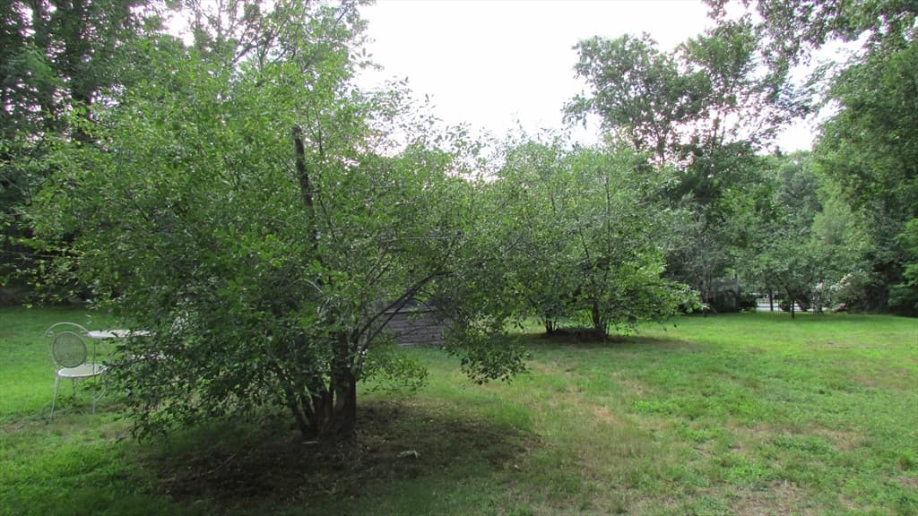 308 Salem Road, Billerica MA 01821 photo 7