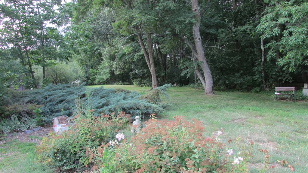 308 Salem Road, Billerica MA 01821 photo 3