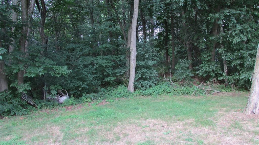 308 Salem Road, Billerica MA 01821 photo 8