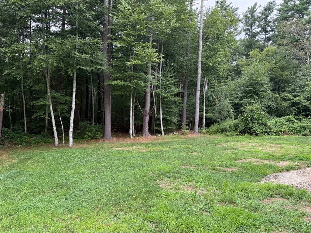 293 Miller Street, Middleboro MA 02346 photo 34