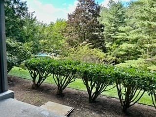 Condominium at 40 Village Rd # 108A, Middleton MA 01949, Middleton, photo 23 of 30