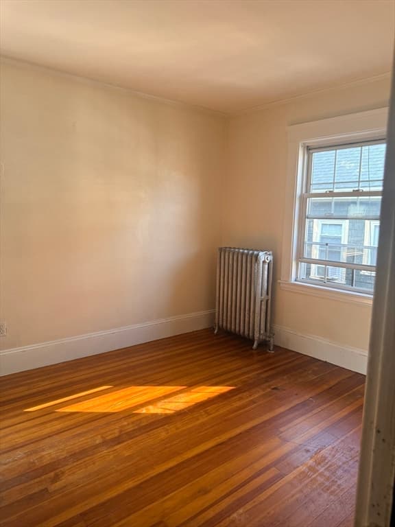 41 Colberg, Boston MA 02131 photo 15