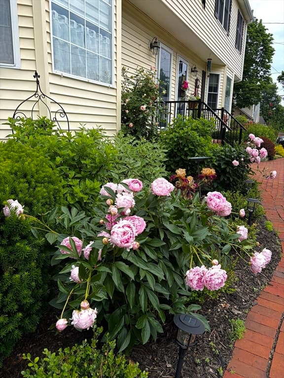 1 E Wood St # B, Milford MA 01757 photo 21