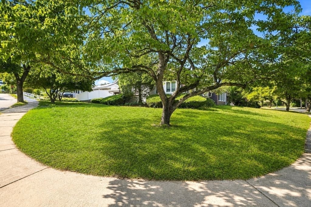 69 Maynard St, Newton MA 02465 photo 6
