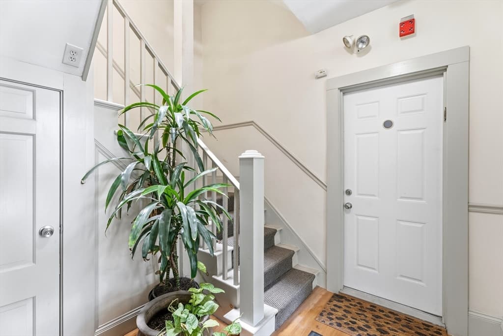 32-34 Ditson St # 2, Boston MA 02122 photo 29