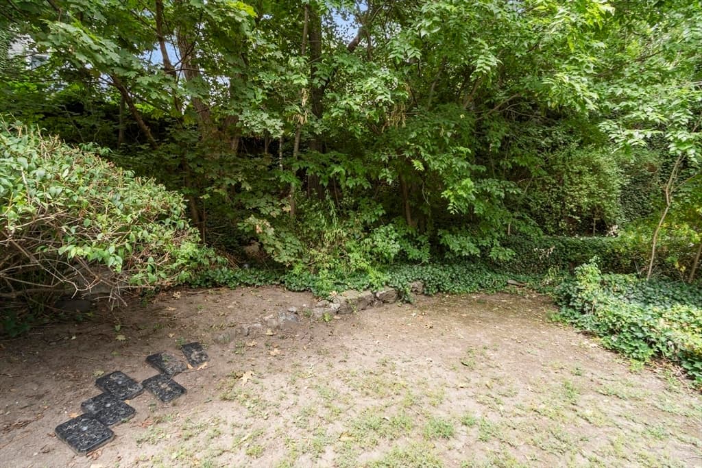219 Walnut Street, Lynn MA 01905 photo 38