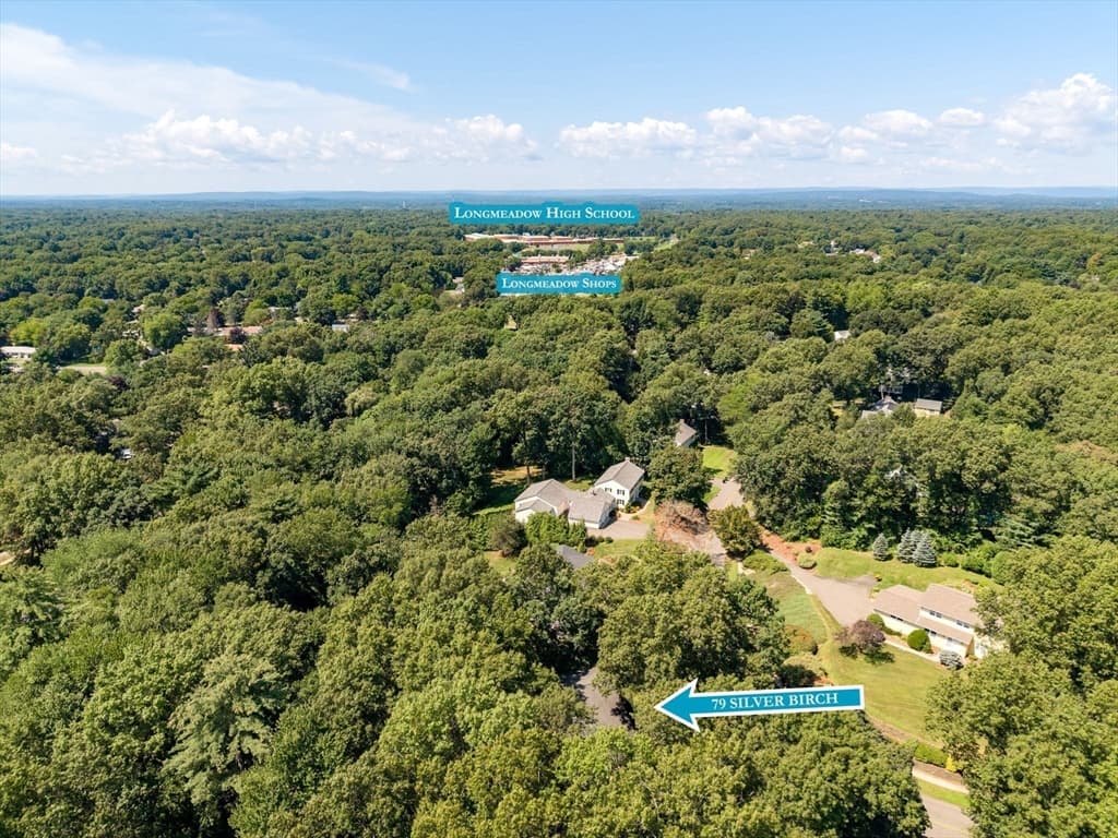 79 Silver Birch Road, Longmeadow MA 01106 photo 14
