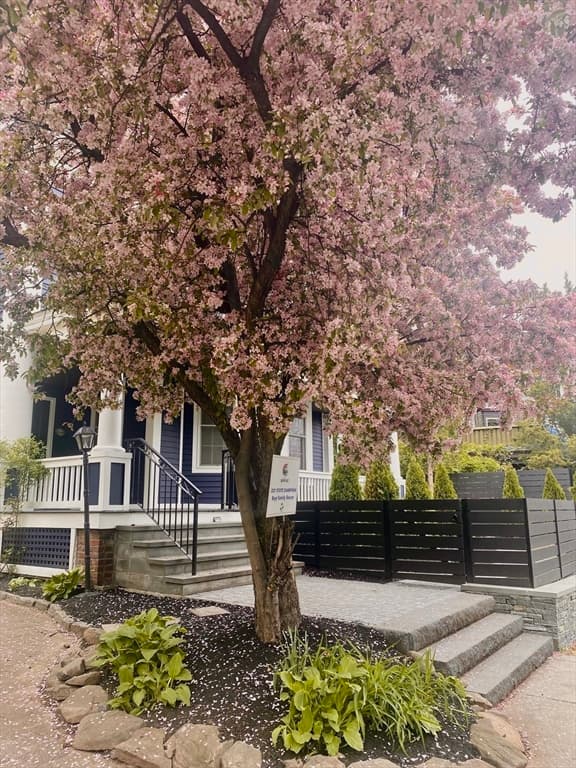 38 Fuller Street, Brookline MA 02446 photo 3