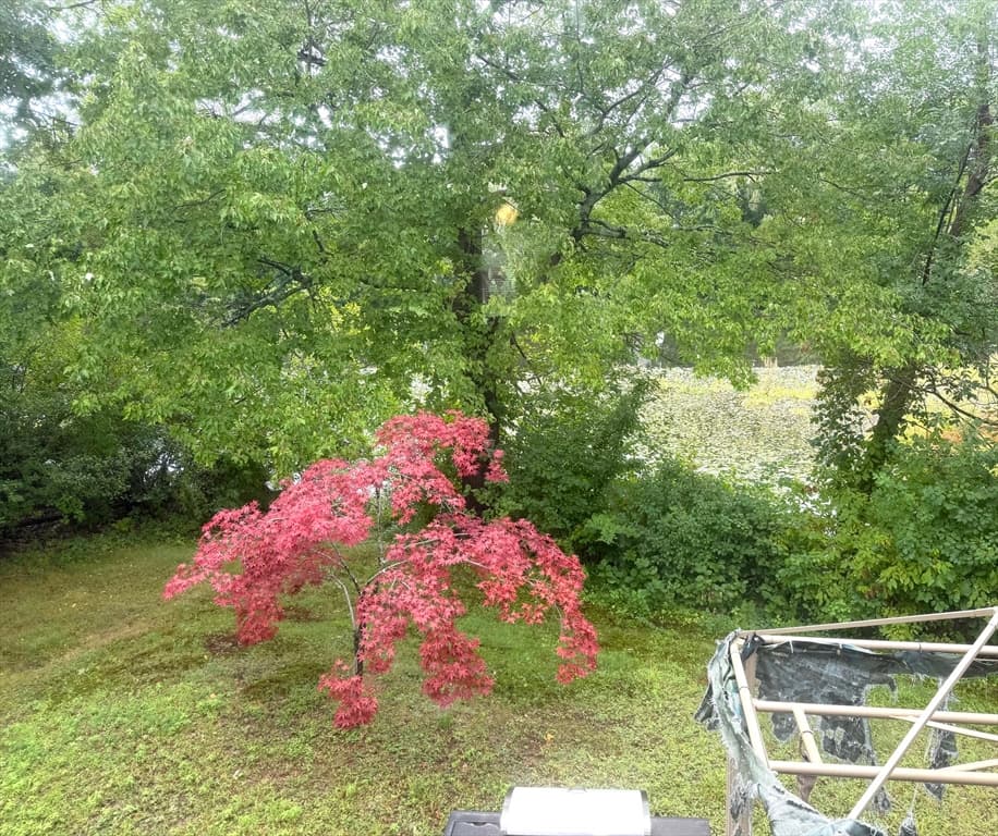 35 Townsend Terrace, Framingham MA 01701 photo 6