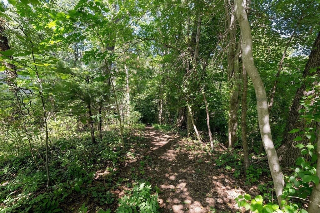 8 Dana Rd, Bedford MA 01730 photo 40