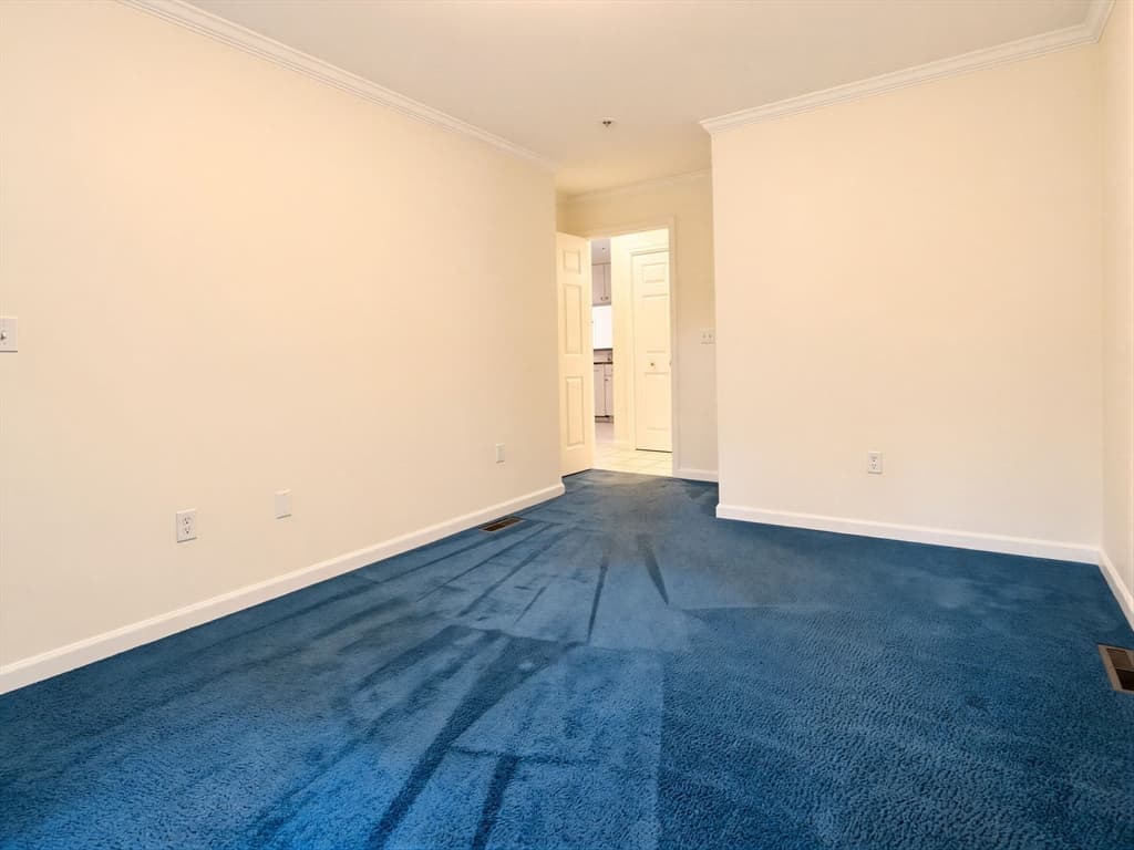 417 Alvord Place # 417, South Hadley MA 01075 photo 26