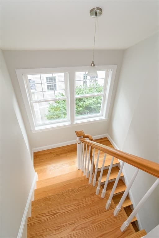 5 Oakdale Avenue, Wellesley MA 02482 photo 22