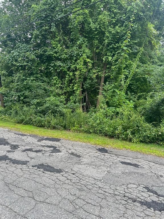 56 Birch Hill Rd, Douglas MA 01516 photo 3